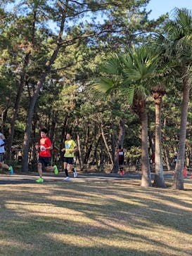 キラーサーフ宮崎に投稿された画像（2022/12/11）