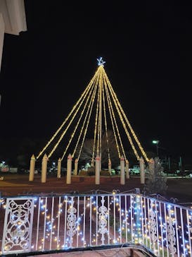 みろくの里に投稿された画像（2022/12/11）