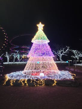 みろくの里に投稿された画像（2022/12/11）