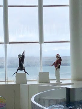 アクアワールド茨城県大洗水族館に投稿された画像（2022/12/11）