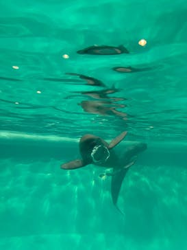 マリンワールド海の中道に投稿された画像（2022/12/11）