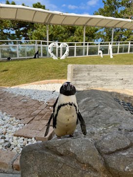 マリンワールド海の中道に投稿された画像（2022/12/11）