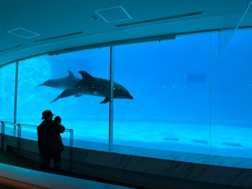 マリンワールド海の中道に投稿された画像（2022/12/11）