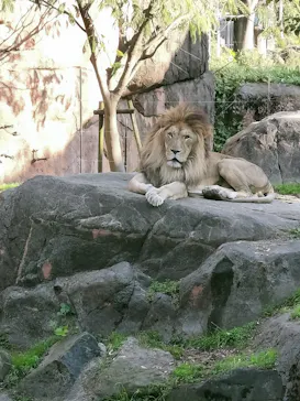 天王寺動物園に投稿された画像（2022/12/11）