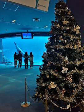 名古屋港水族館に投稿された画像（2022/12/11）
