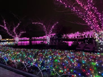 東武動物公園に投稿された画像（2022/12/12）