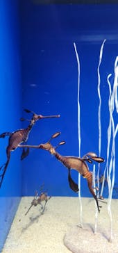 サンシャイン水族館に投稿された画像（2022/12/12）