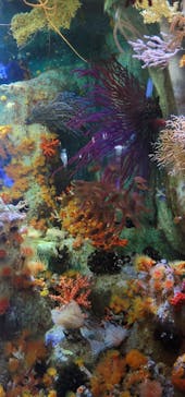 サンシャイン水族館に投稿された画像（2022/12/12）