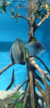 サンシャイン水族館に投稿された画像（2022/12/12）