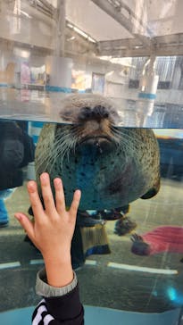 京都水族館に投稿された画像（2022/12/12）