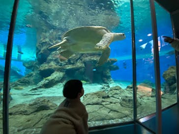 名古屋港水族館に投稿された画像（2022/12/12）