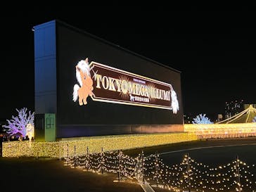 東京メガイルミに投稿された画像（2022/12/12）