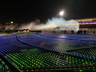 東京メガイルミに投稿された画像（2022/12/12）