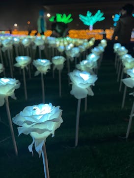 東京メガイルミに投稿された画像（2022/12/12）