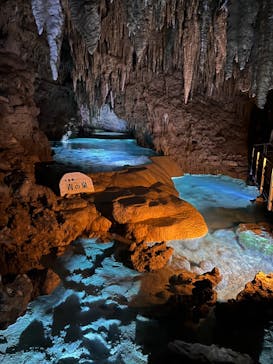 おきなわワールドに投稿された画像（2022/12/12）