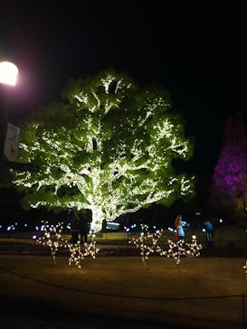 安城産業文化公園デンパークに投稿された画像（2022/12/12）