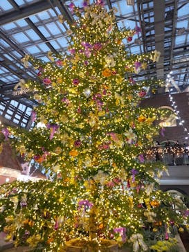 安城産業文化公園デンパークに投稿された画像（2022/12/12）