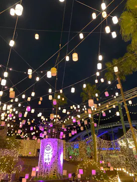 ひらかたパークに投稿された画像（2022/12/12）