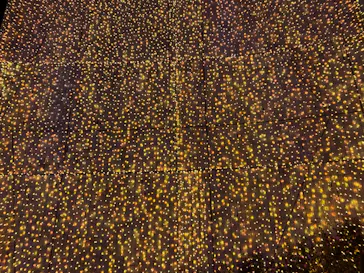 ひらかたパークに投稿された画像（2022/12/12）