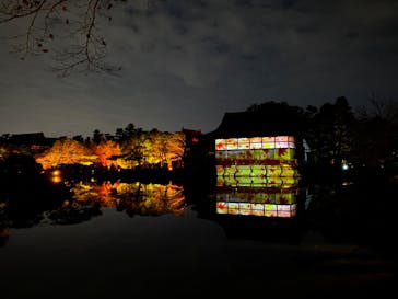 NAKEDヨルモウデ2022平安神宮に投稿された画像（2022/12/12）