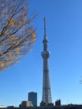 東京スカイツリーに投稿された画像（2022/12/12）
