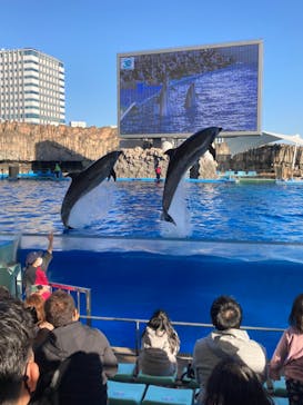 名古屋港水族館に投稿された画像（2022/12/12）