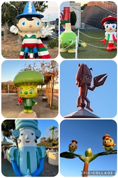 浜名湖パルパルに投稿された画像（2022/12/12）