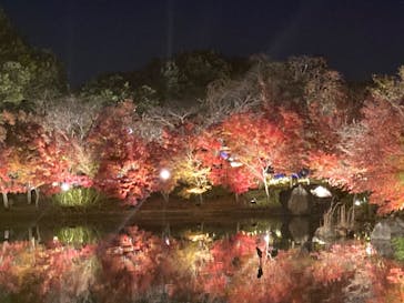 なばなの里に投稿された画像（2022/12/12）