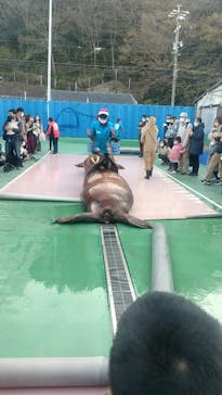 ゼロ距離水族館 伊勢シーパラダイスに投稿された画像（2022/12/12）