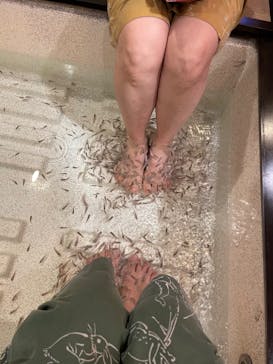 有馬温泉 太閤の湯に投稿された画像（2022/12/12）