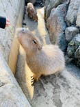 伊豆シャボテン動物公園に投稿された画像（2022/12/12）