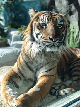 神戸どうぶつ王国に投稿された画像（2022/12/12）