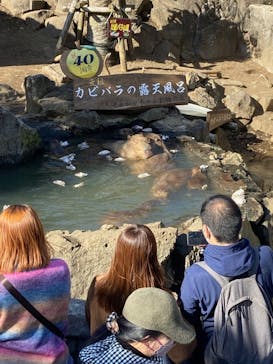 伊豆シャボテン動物公園に投稿された画像（2022/12/12）