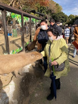 伊豆シャボテン動物公園に投稿された画像（2022/12/12）