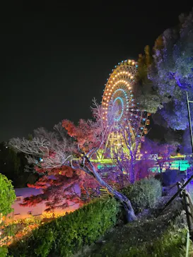 ひらかたパークに投稿された画像（2022/12/12）