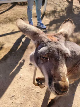神戸どうぶつ王国に投稿された画像（2022/12/12）