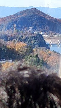 日本モンキーパークに投稿された画像（2022/12/12）