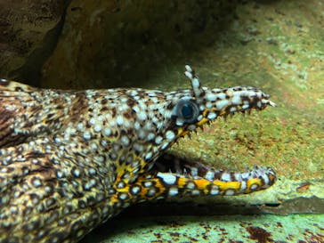 株式会社Gに投稿された画像（2022/12/12）