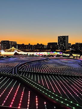東京メガイルミに投稿された画像（2022/12/12）