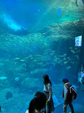 新江ノ島水族館に投稿された画像（2022/12/12）