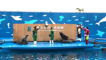 仙台うみの杜水族館に投稿された画像（2022/12/12）