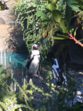 サンシャイン水族館に投稿された画像（2022/12/12）
