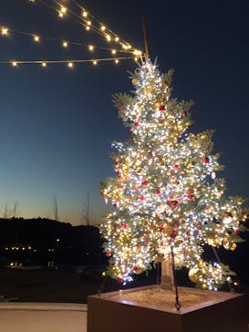 ムーミンバレーパークに投稿された画像（2022/12/12）