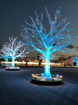 東京メガイルミに投稿された画像（2022/12/12）