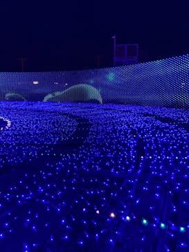 東京メガイルミに投稿された画像（2022/12/12）