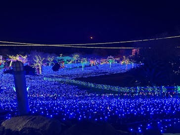 伊豆ぐらんぱる公園に投稿された画像（2022/12/12）