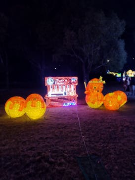 大阪城イルミナージュに投稿された画像（2022/12/12）