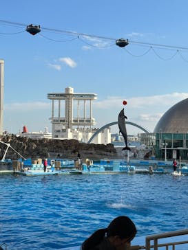 名古屋港水族館に投稿された画像（2022/12/11）
