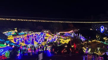 伊豆ぐらんぱる公園に投稿された画像（2022/12/12）