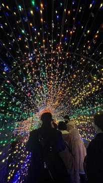 伊豆ぐらんぱる公園に投稿された画像（2022/12/12）